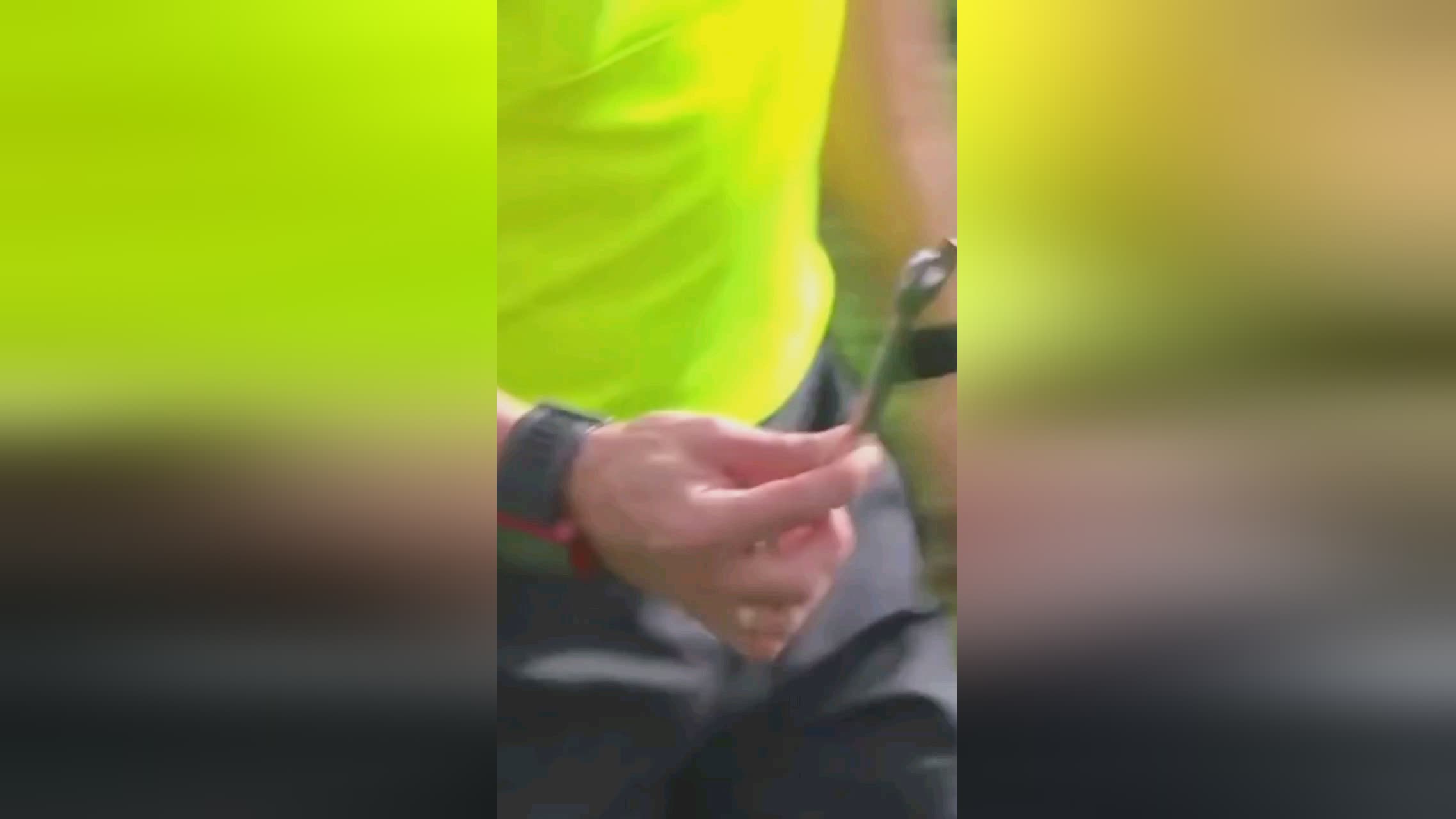 杯历史上的